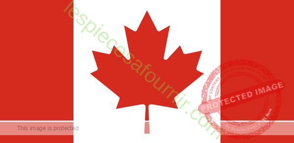 Quelles sont les pièces à fournir pour faire un dossier de demande de visa au Canada ?