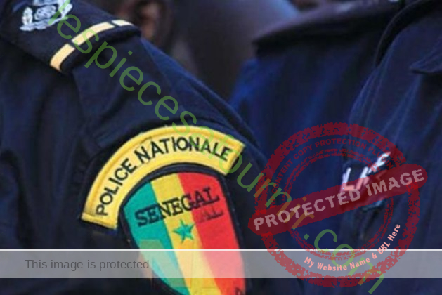 Concours Police 2023-2024 Sénégal élèves commissaires, officiers, sous-officiers et agents de Police