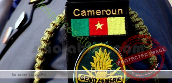 Quel dossier à fournir pour le concours de la Gendarmerie Cameroun ?