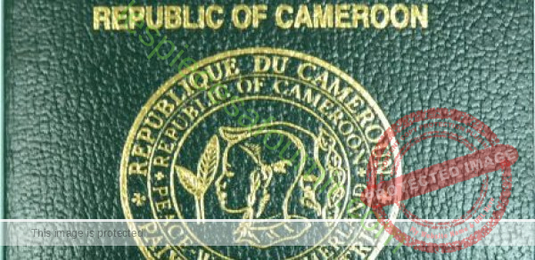 Quelles sont les pieces à fournir pour le Passeport Ordinaire au Cameroun ?