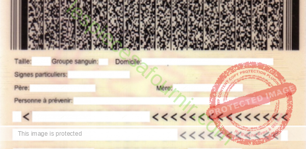 Quelles sont les PIECES A FOURNIR pour faire la carte d’identité togolaise ?