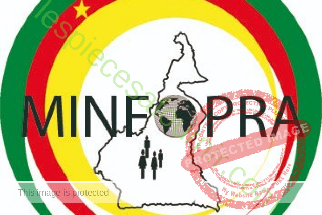 MINFOPRA position du dossier Cameroon – dossier.minfopra.gov.cm