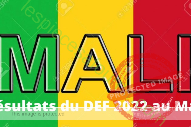 Comment consulter les résultats du DEF 2023 au Mali en PDF ?